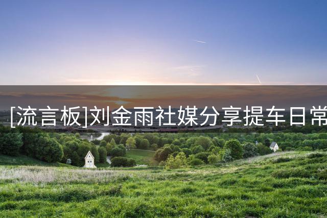 [流言板]刘金雨社媒分享提车日常Vlog：终于啊终于…..